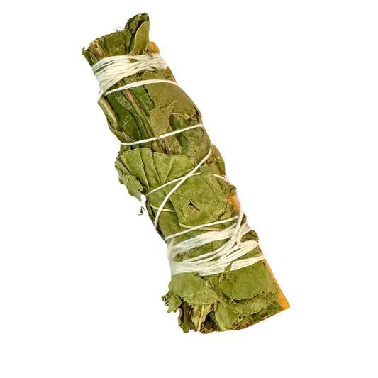 秘魯聖木+尤加利束 Palo Santo+Eucalyptus Bunch