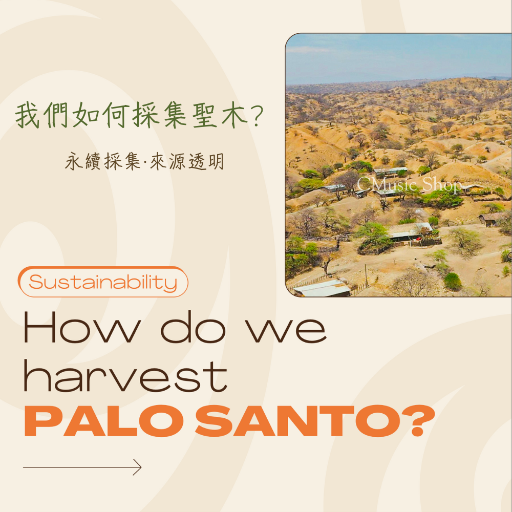 秘魯聖木3-5支 Palo Santo wood 3-5 sticks