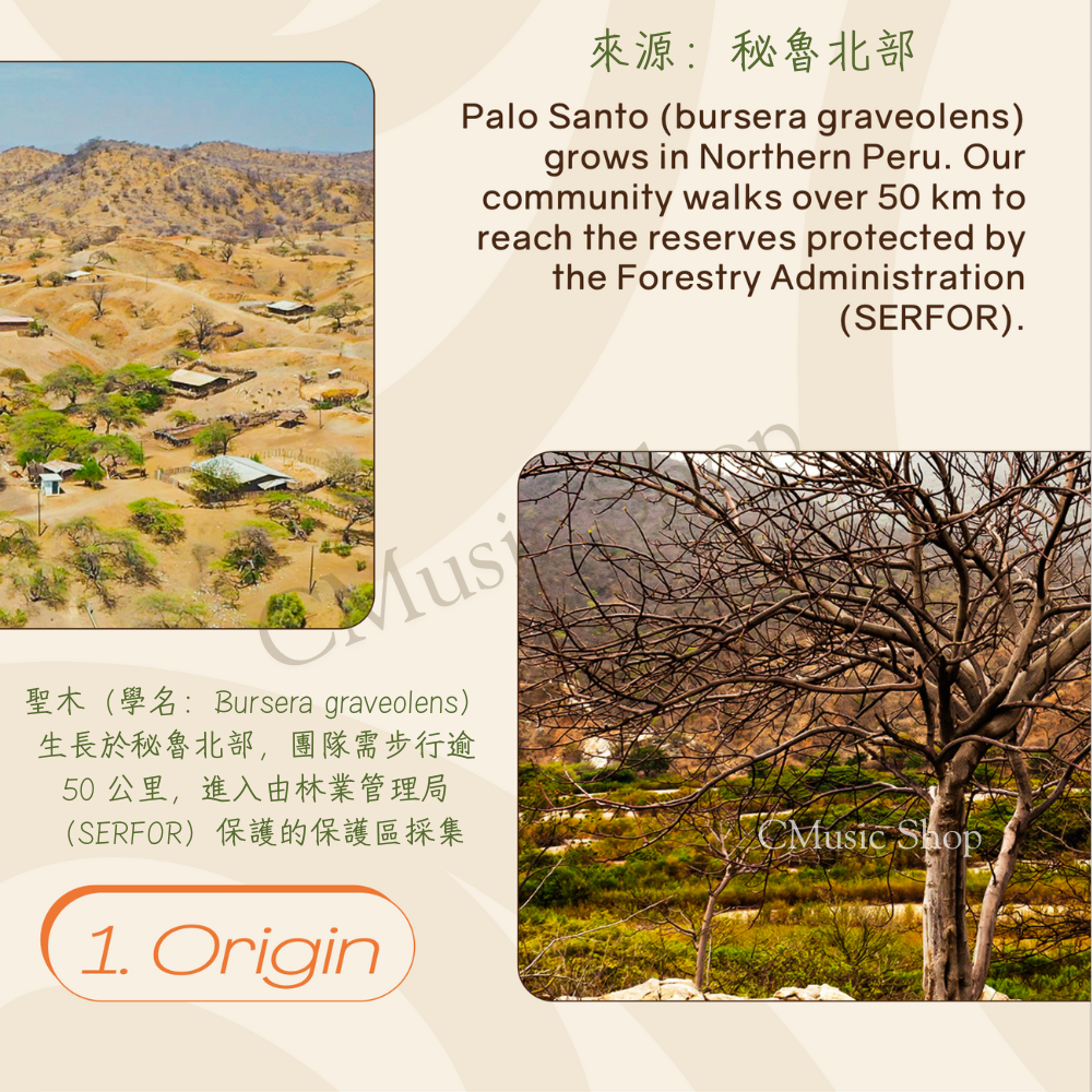 秘魯聖木3-5支 Palo Santo wood 3-5 sticks