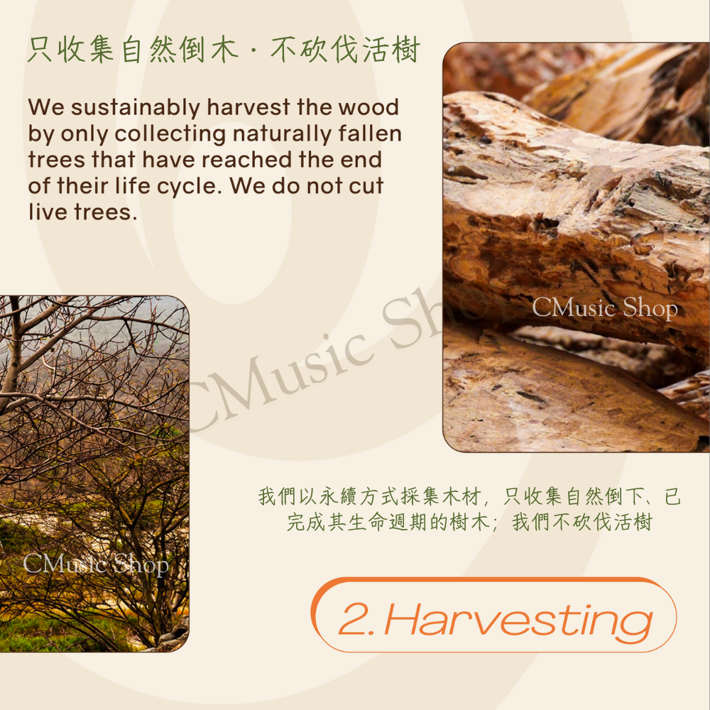 秘魯聖木3-5支 Palo Santo wood 3-5 sticks