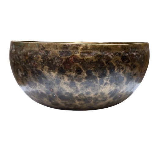 Jambati Singing Bowl 藏巴蒂缽 22cm-Note D#3