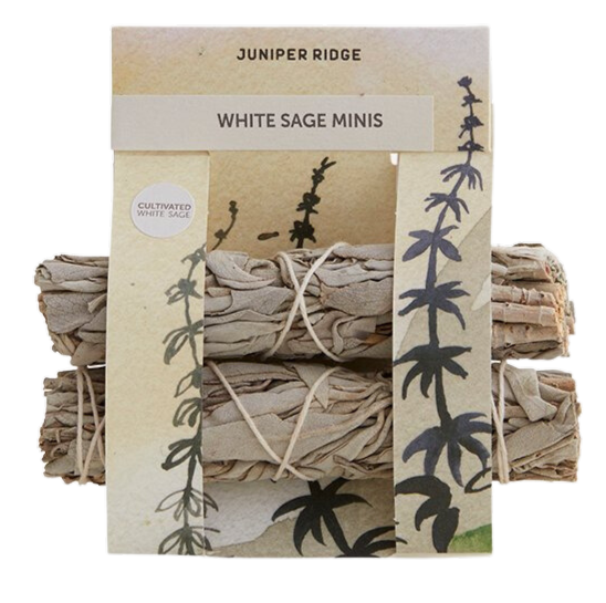 Juniper Ridge 白鼠尾草 迷你版