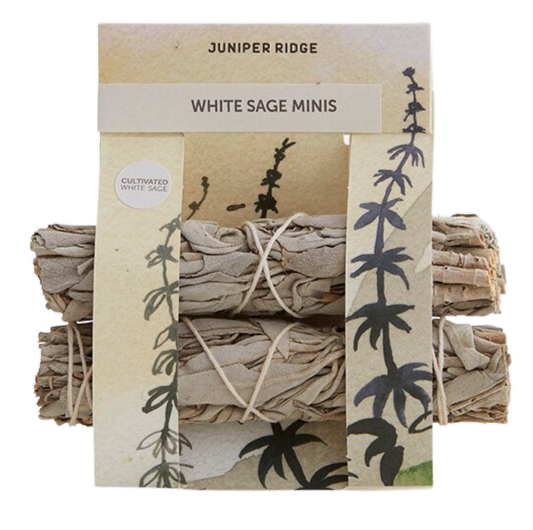 Juniper Ridge 白鼠尾草 迷你版